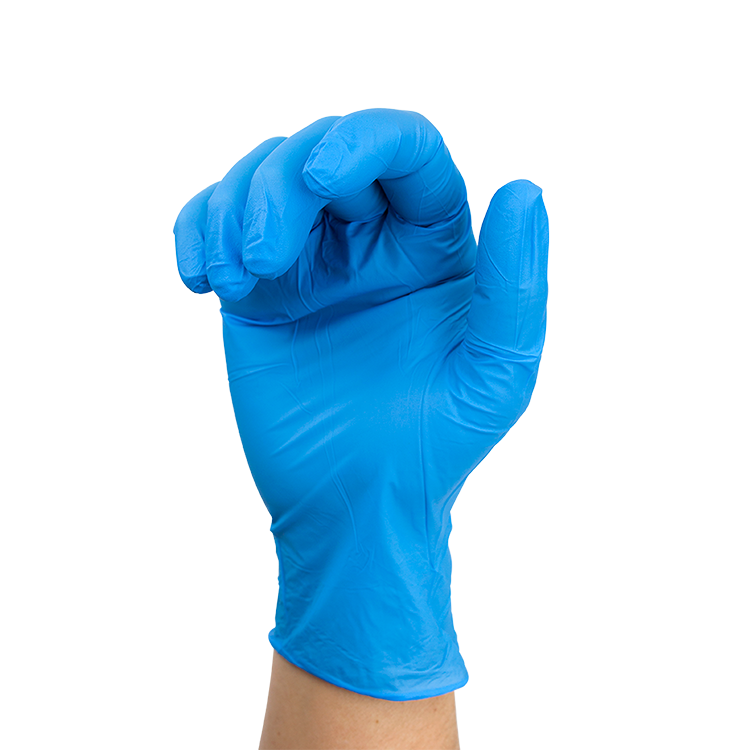 Dynarex Nitrile Exam Gloves In A Bag - Large Powder-Free, Blue - 2prs/bg, 500bgs/cs (1000 Pairs)