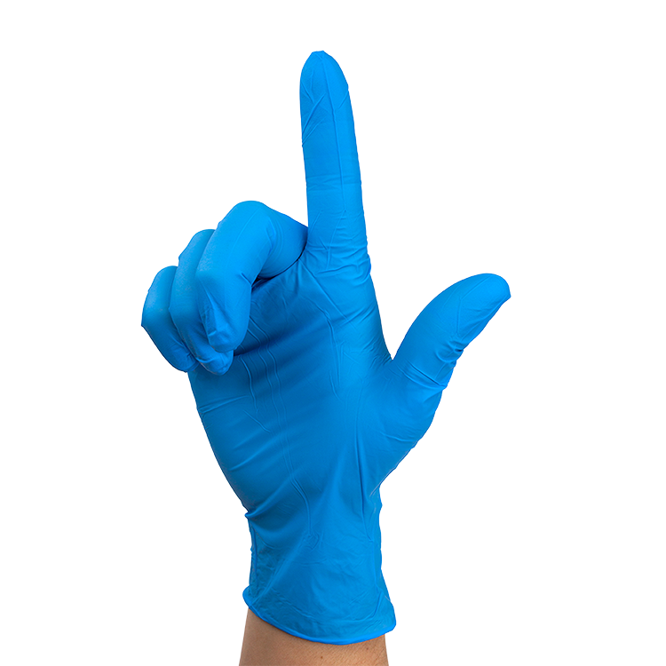 Dynarex Nitrile Exam Gloves In A Bag - Large Powder-Free, Blue - 2prs/bg, 500bgs/cs (1000 Pairs)