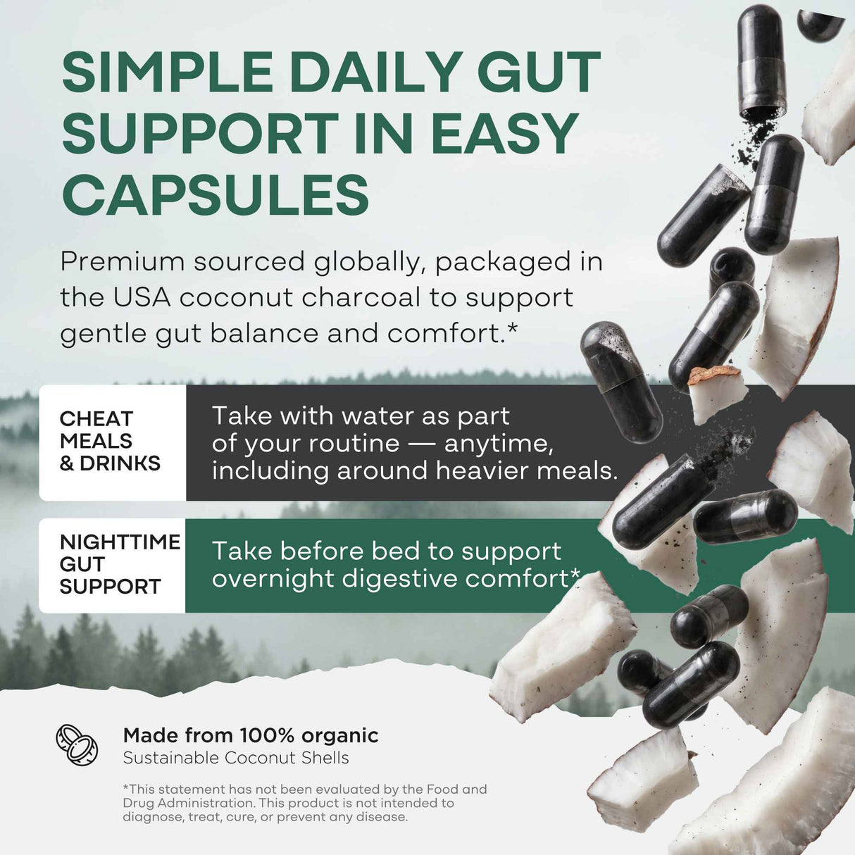 Activated Charcoal Capsules, 60 servings - Made from 100% Organic Coconuts