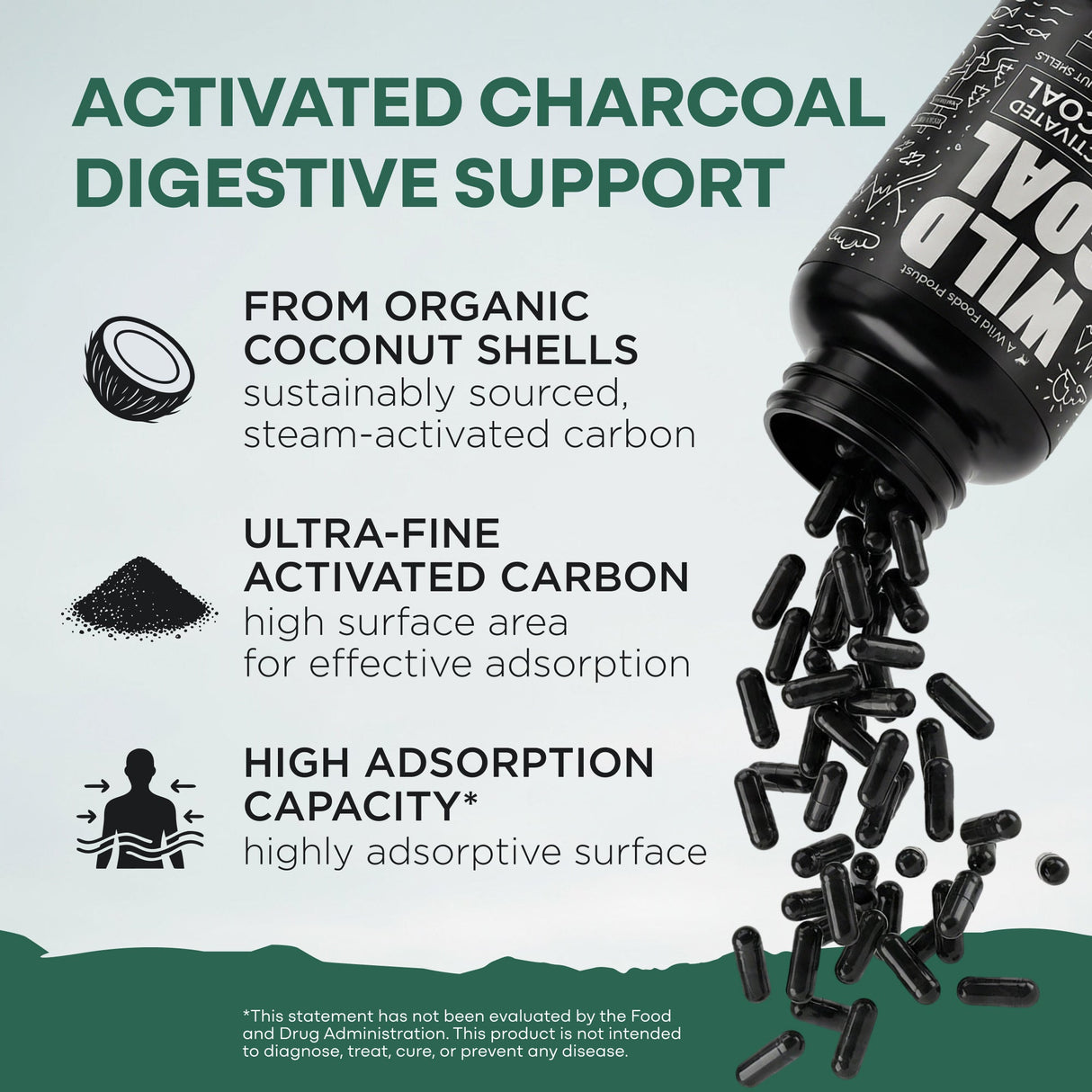 Activated Charcoal Capsules, 60 servings - Made from 100% Organic Coconuts
