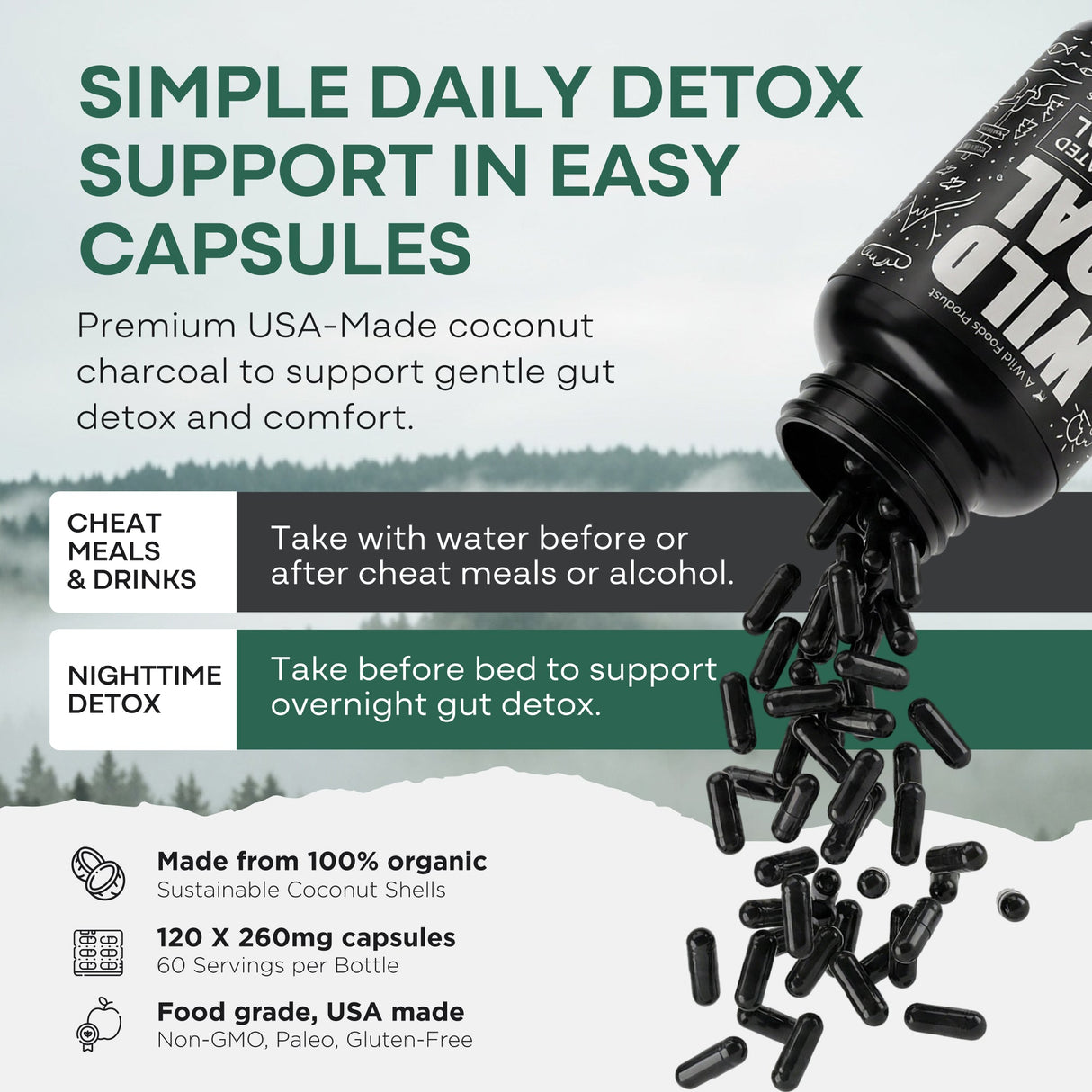 Activated Charcoal Capsules, 60 servings - Made from 100% Organic Coconuts