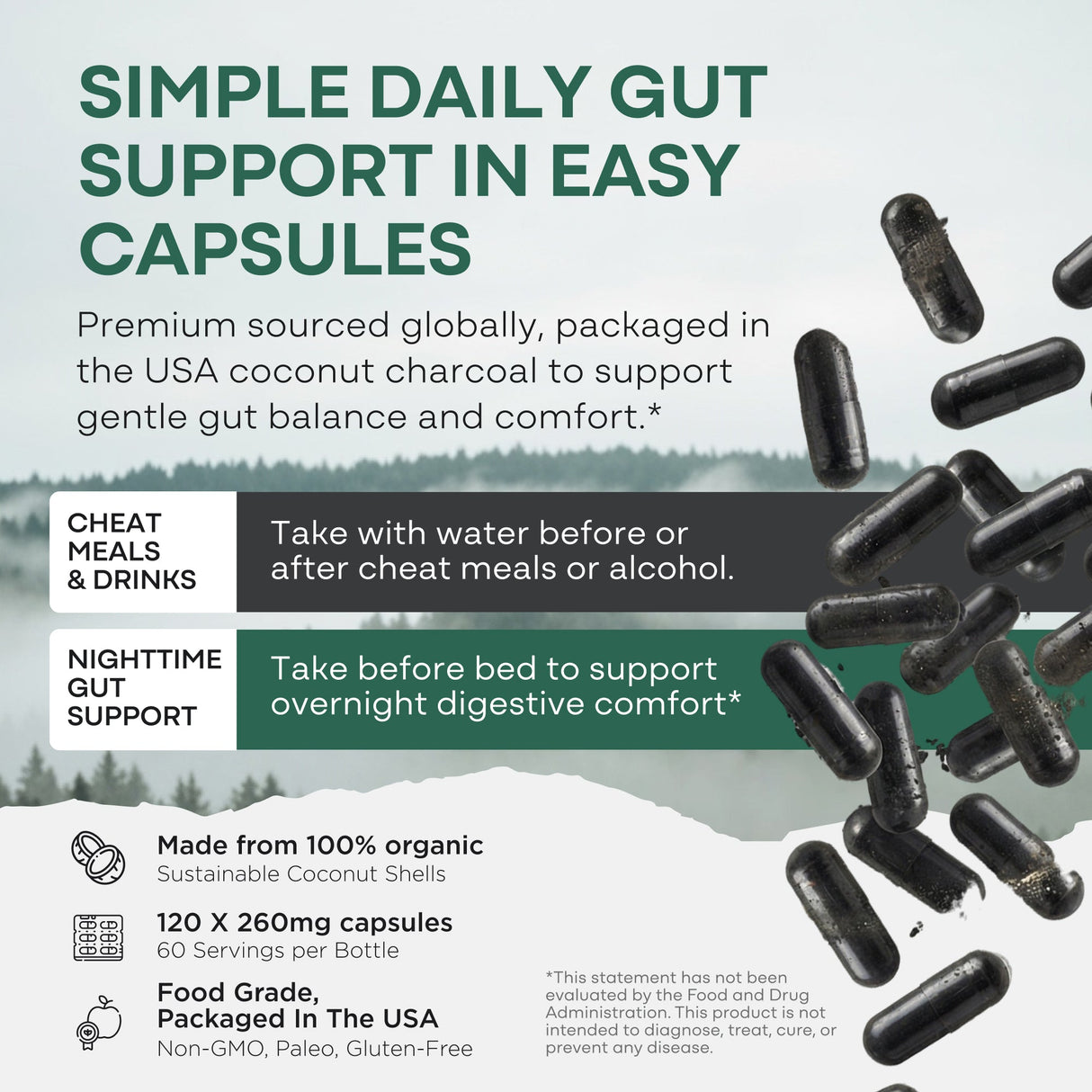 Activated Charcoal Capsules, 60 servings - Made from 100% Organic Coconuts