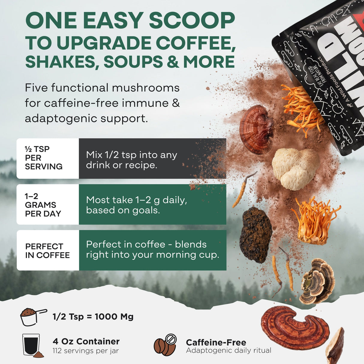 Master Mushrooms Blend, 110 servings – Immune Boosting Adaptogenic Mushrooms