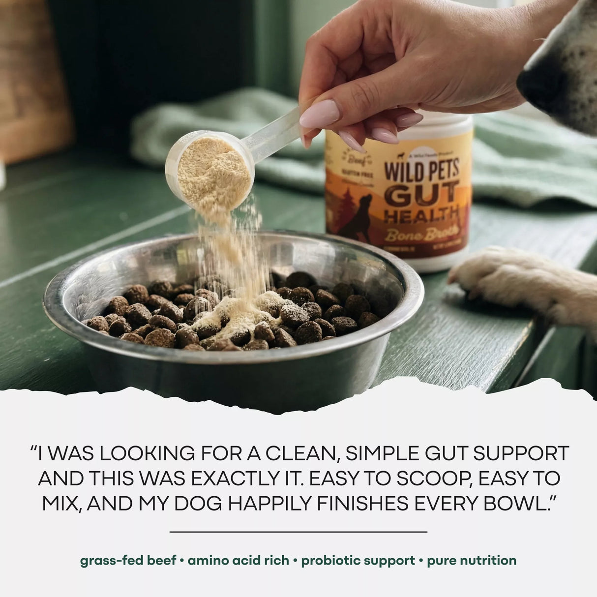 Wild Pets Bone Broth