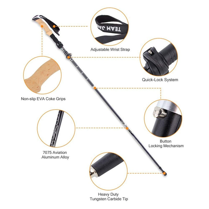 Hiking Sticks