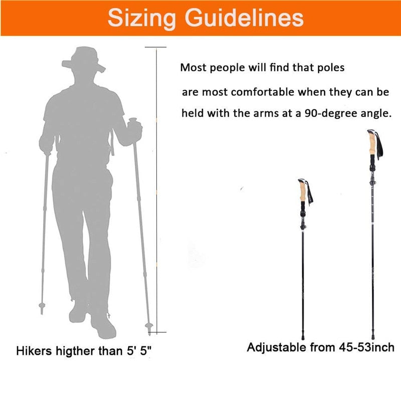 Hiking Sticks