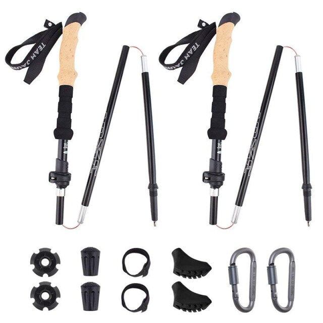 Hiking Sticks