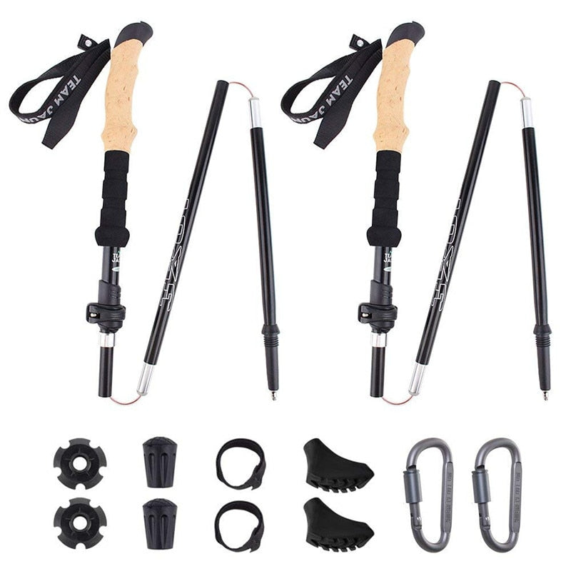 Hiking Sticks
