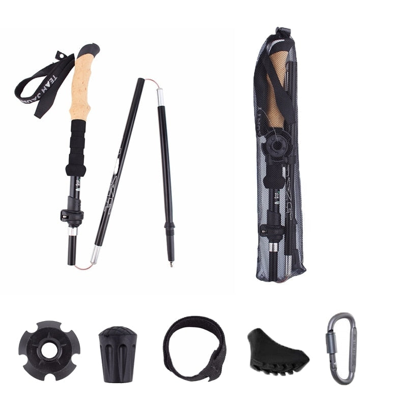 Hiking Sticks