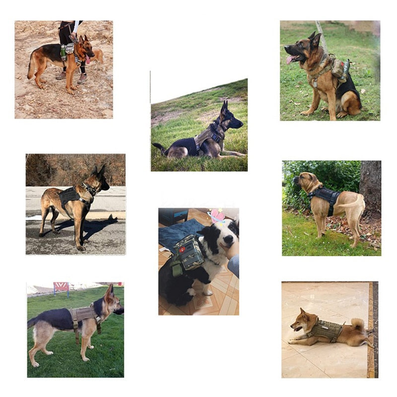 Tactical Service Dog Vest
