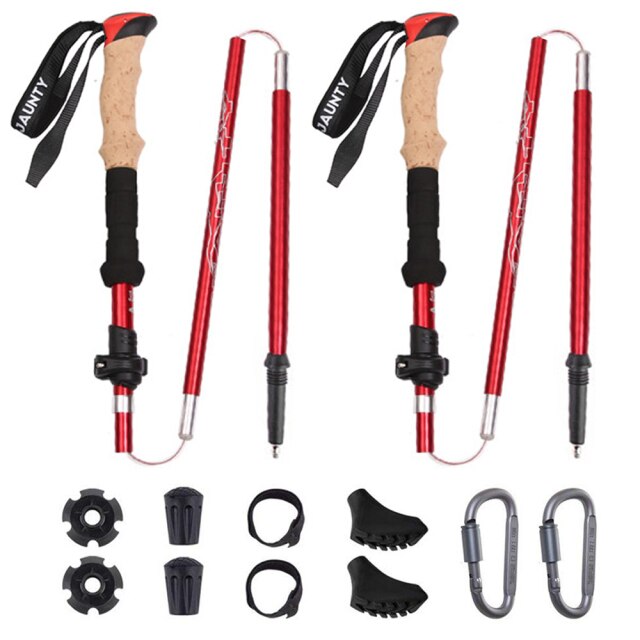 Hiking Sticks