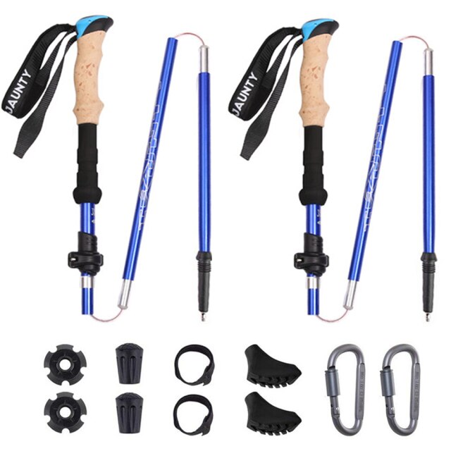 Hiking Sticks
