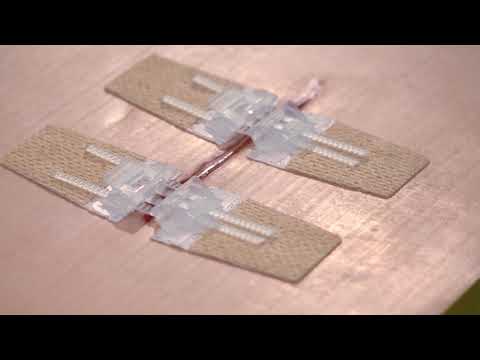 ZZIPS | 2-PACK
