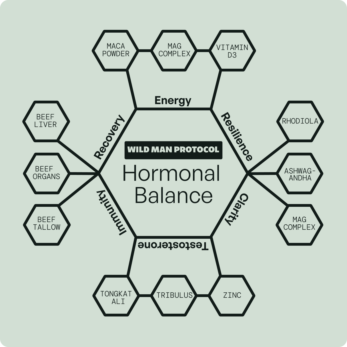 Wild Man Bundles: Natural Anabolic Support