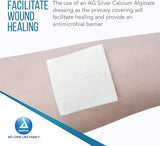 Dynarex DynaGinate AG - Silver Calcium Alginate Dressing, 4" x 8", 5ea/bx, 10bxs/cs (50 Count)