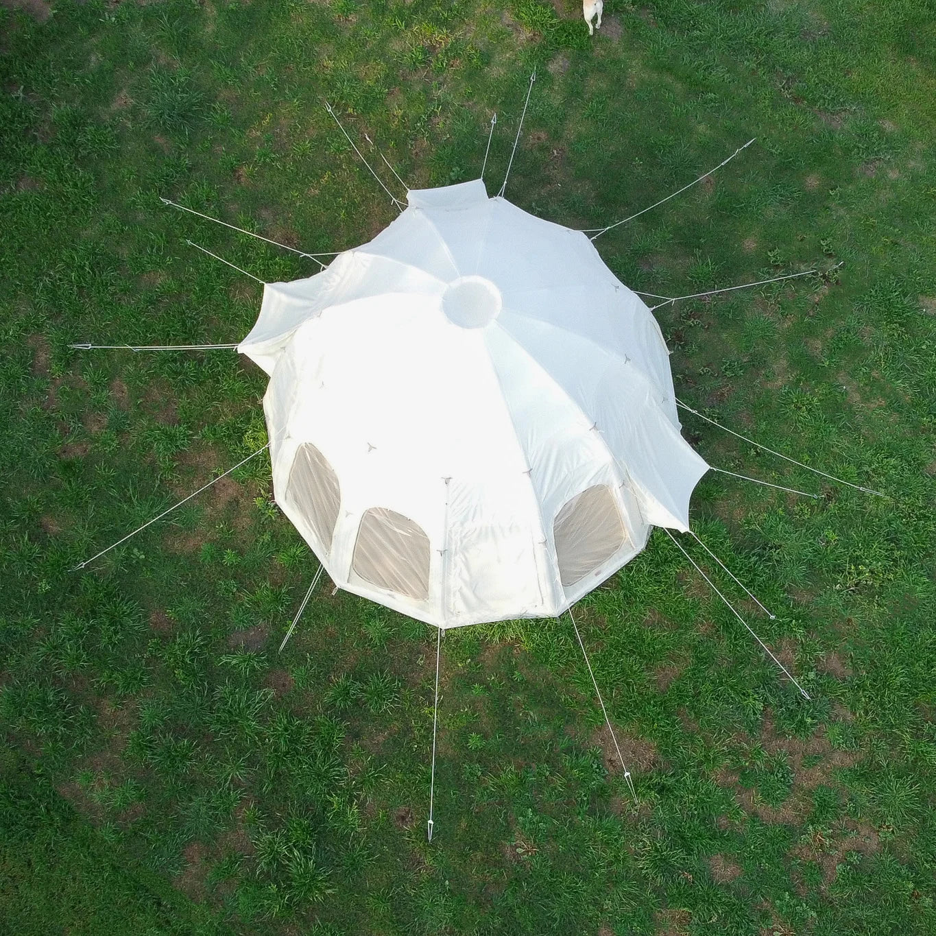 Jellyfish Air Beam Tent | 16-Foot