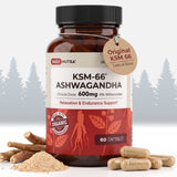 Daily Nutra KSM-66 Ashwagandha 600mg Capsules – Stress Relief & Relaxation