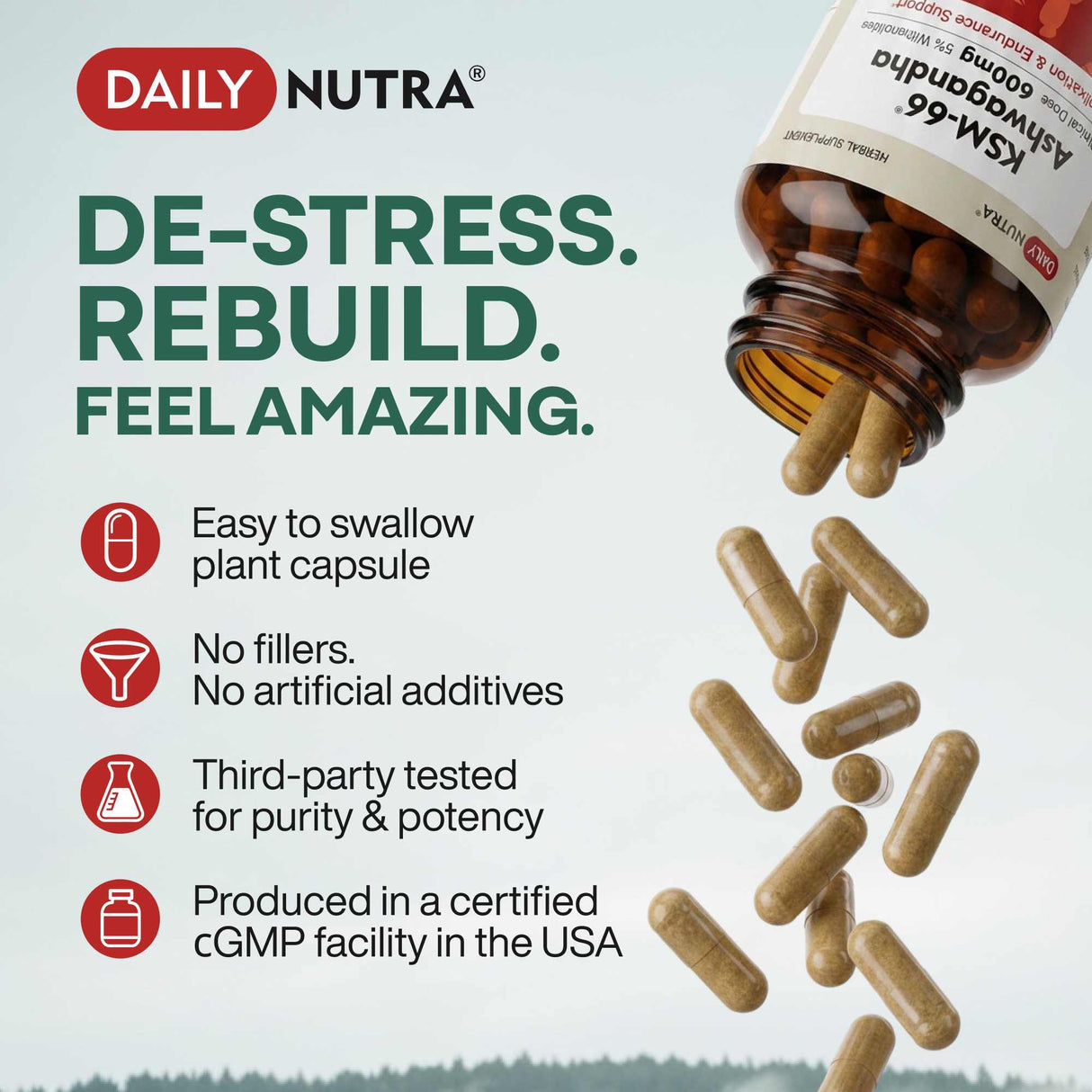 Daily Nutra KSM-66 Ashwagandha 600mg Capsules – Stress Relief & Relaxation