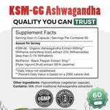 Daily Nutra KSM-66 Ashwagandha 600mg Capsules – Stress Relief & Relaxation