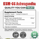 Daily Nutra KSM-66 Ashwagandha 600mg Capsules – Stress Relief & Relaxation