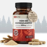 Daily Nutra KSM-66 Ashwagandha 600mg Capsules – Stress Relief & Relaxation