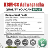 Daily Nutra KSM-66 Ashwagandha 600mg Capsules – Stress Relief & Relaxation