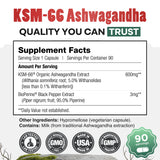 Daily Nutra KSM-66 Ashwagandha 600mg Capsules – Stress Relief & Relaxation
