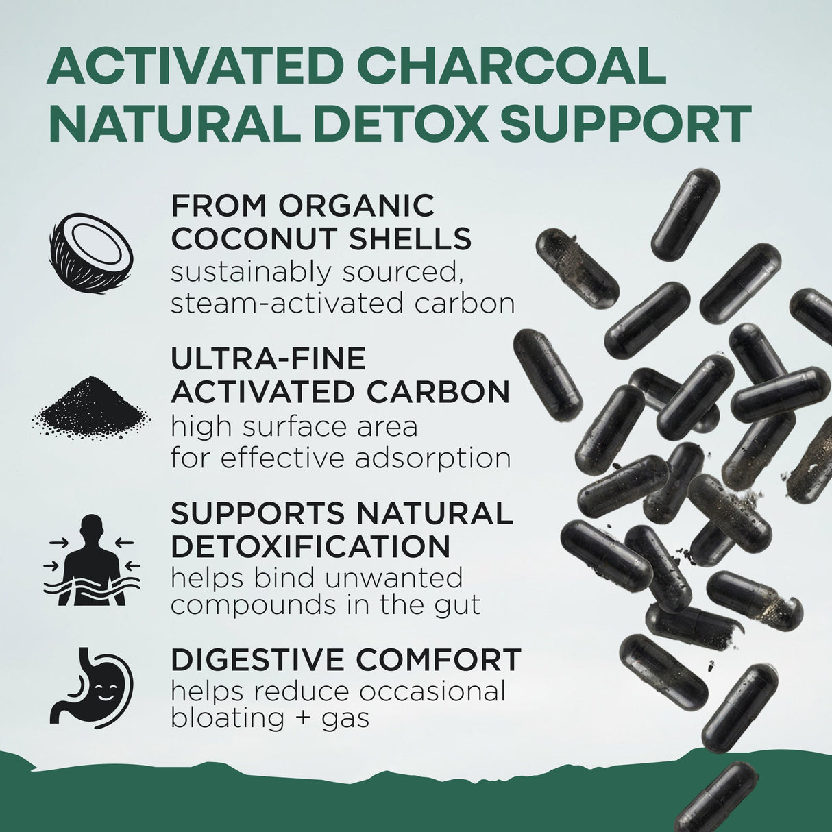 Activated Charcoal Capsules, 60 servings - Made from 100% Organic Coconuts