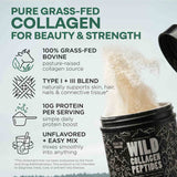 Grass-Fed Collagen Peptides, 41 servings – Skin, Hair & Joint Support Collagen