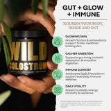 Wild Colostrum