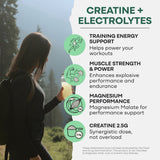 Wild Creatine Electrolytes