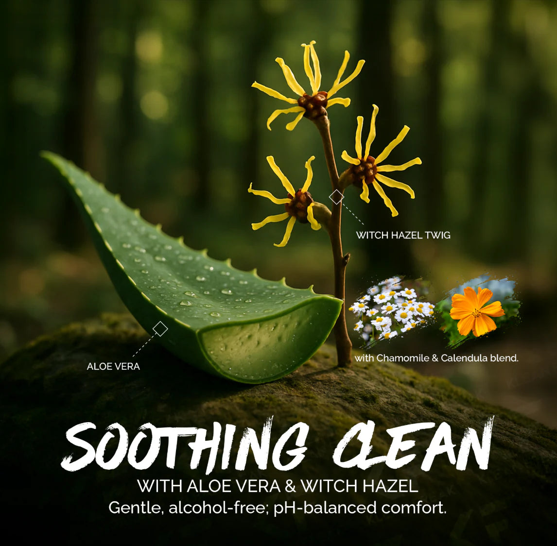 The Flusher 40 Pak – 3 Pak Box