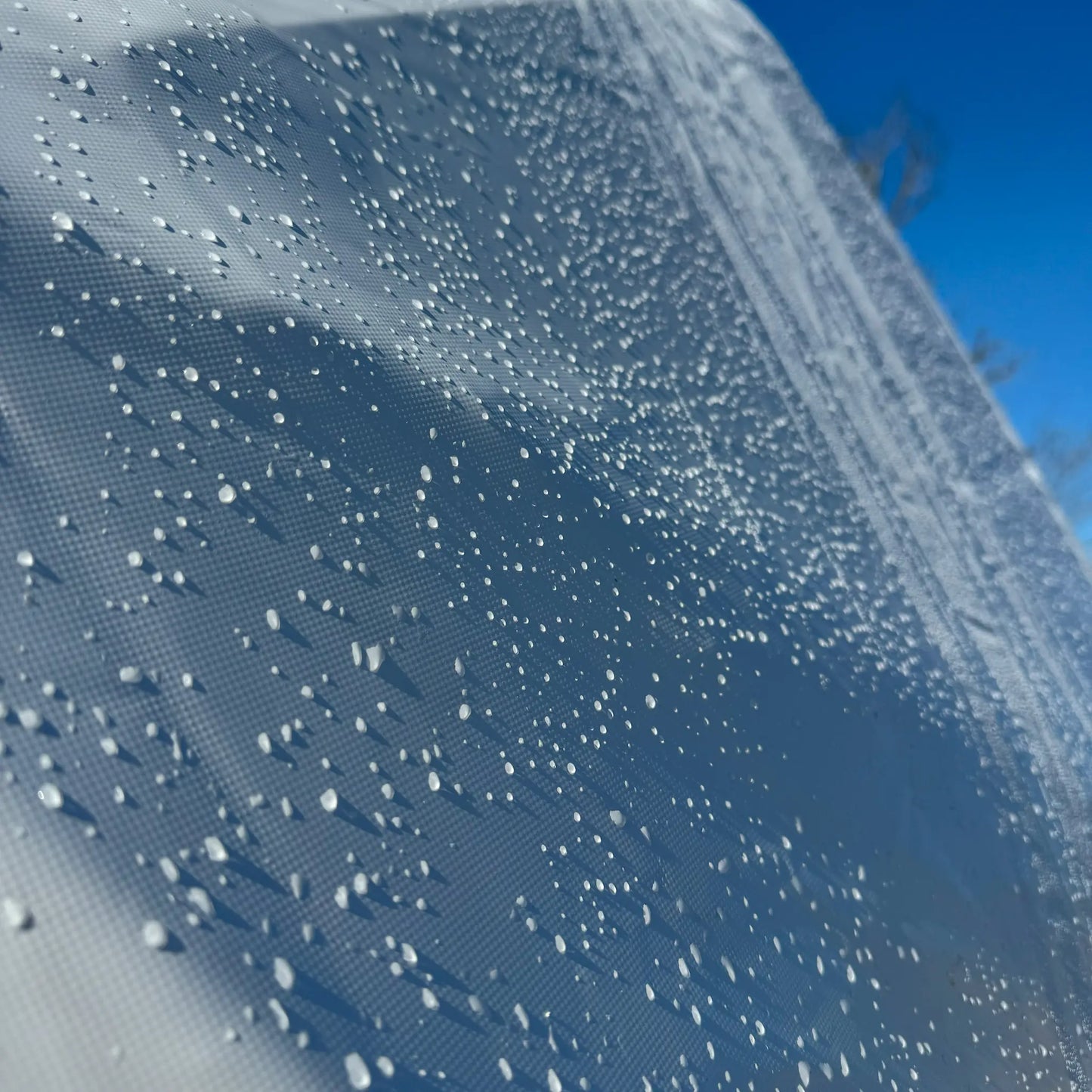 Geodesic Dome | 16-Foot