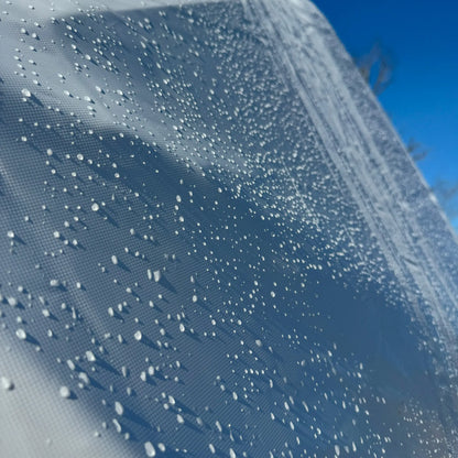 Geodesic Dome | 16-Foot